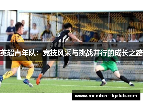 英超青年队：竞技风采与挑战并行的成长之路