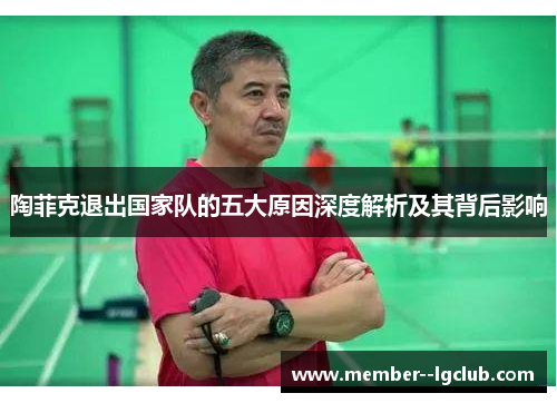 陶菲克退出国家队的五大原因深度解析及其背后影响