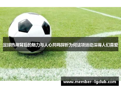 足球热潮背后的魅力与人心共鸣探析为何这项运动深得人们喜爱