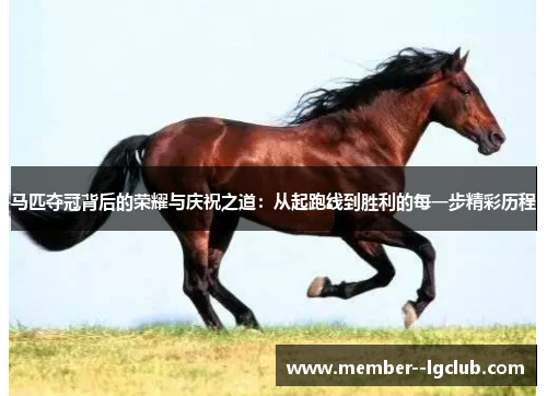 马匹夺冠背后的荣耀与庆祝之道：从起跑线到胜利的每一步精彩历程
